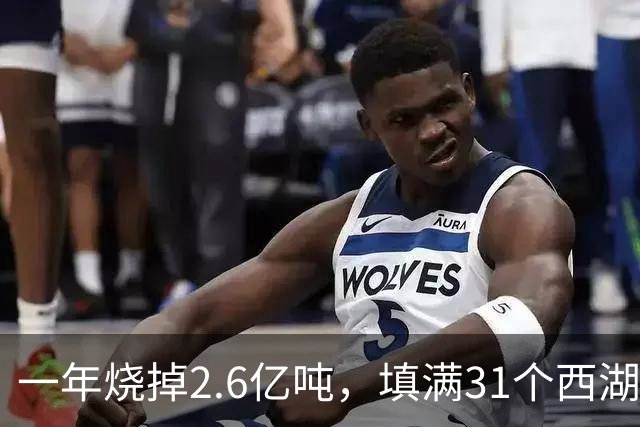 一年烧掉2.6亿吨，填满31个西湖！中国的垃圾，不够烧了？